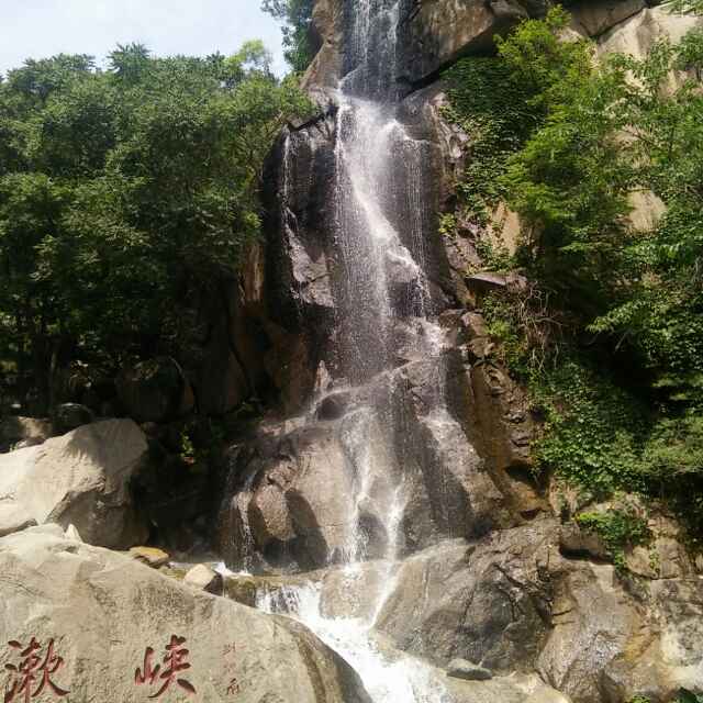 林中幽径