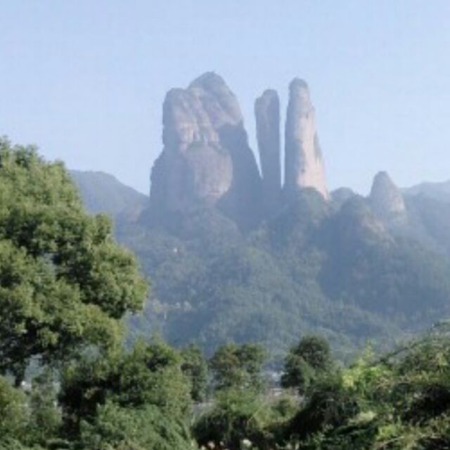 榕树下