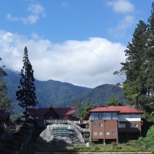 陈升阳