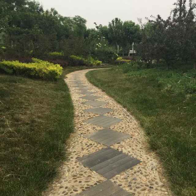 迷茫的等待