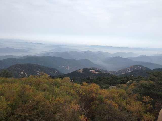 丁宁