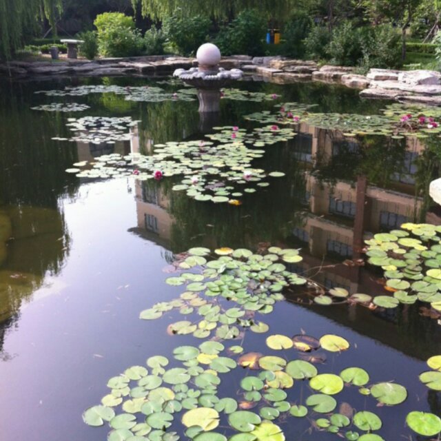 大海