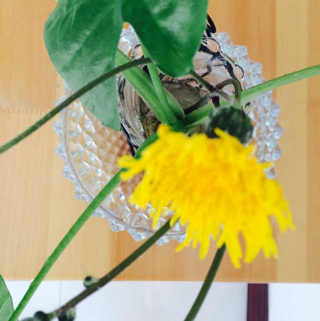 潘欣荣