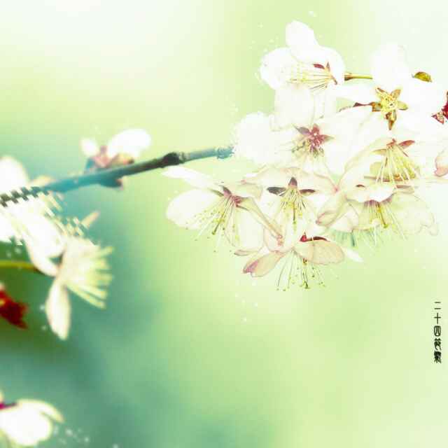 彩虹