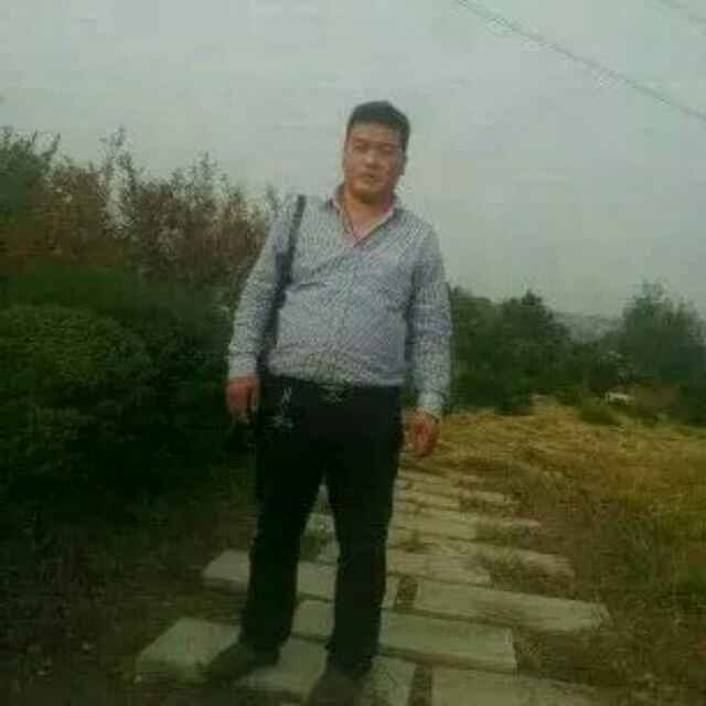 飞鹰