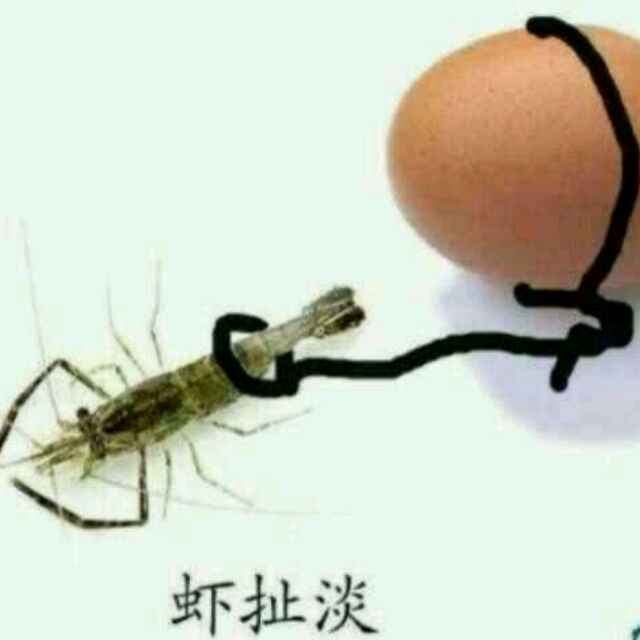 往事随风