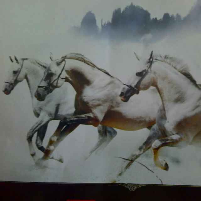 A丽星沙发厂（爱丽舍宫家居）