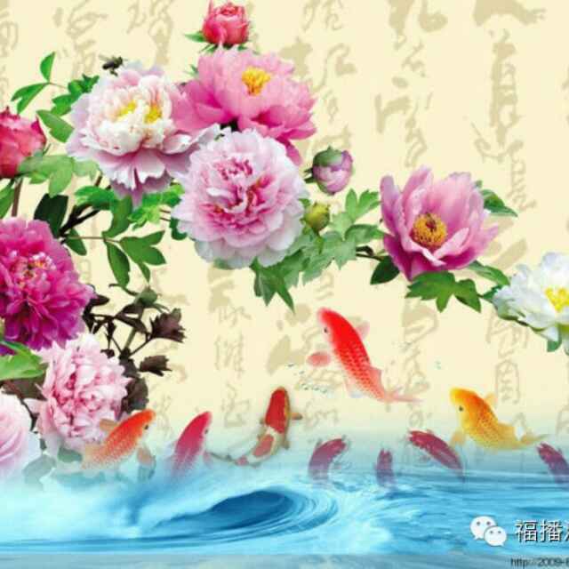 木