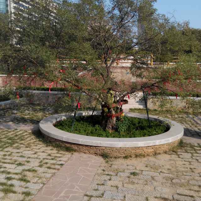 心随我动