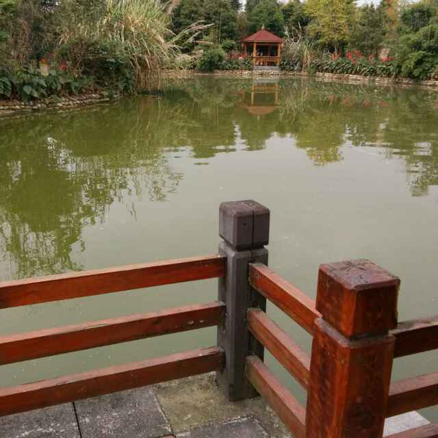川味周黑鸭