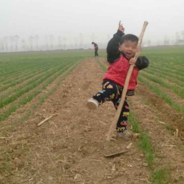 天有梦