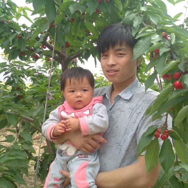 李龙