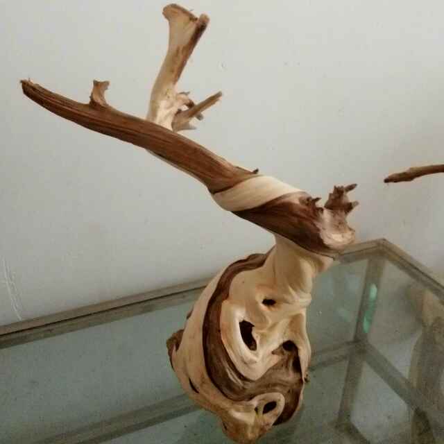 水之源