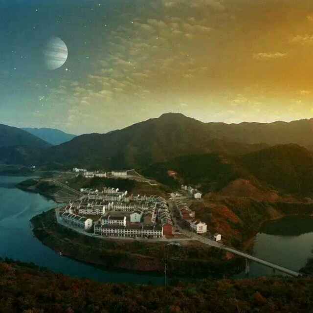 杨春辉