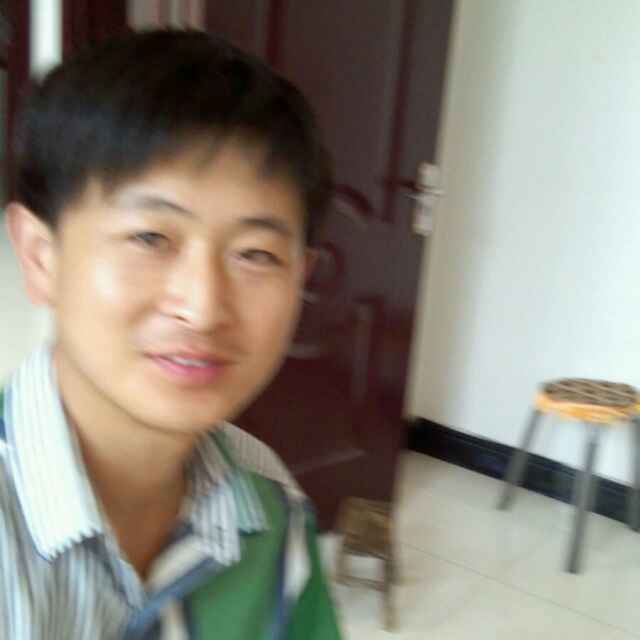 自由翱翔