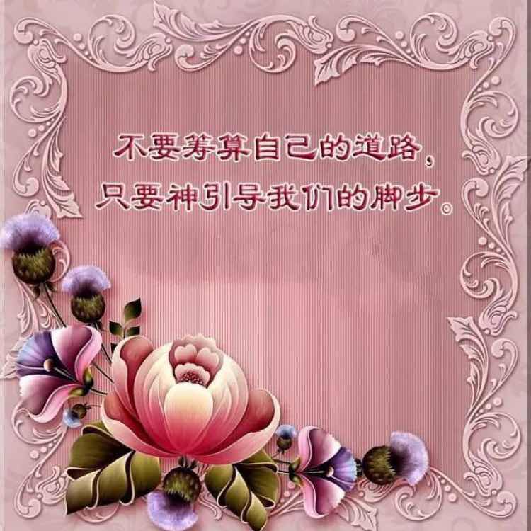 汤杨