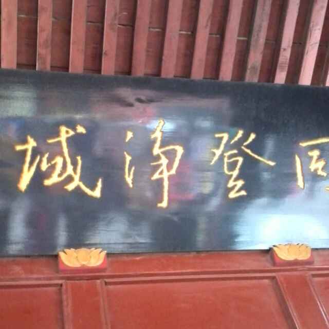 代铁哥