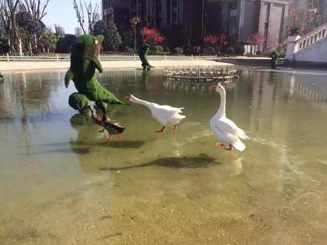 一生中最爱