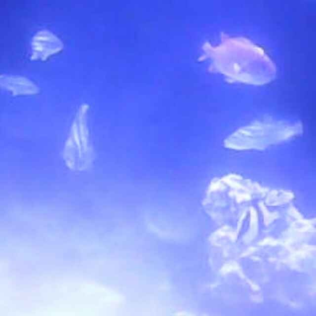 一佳