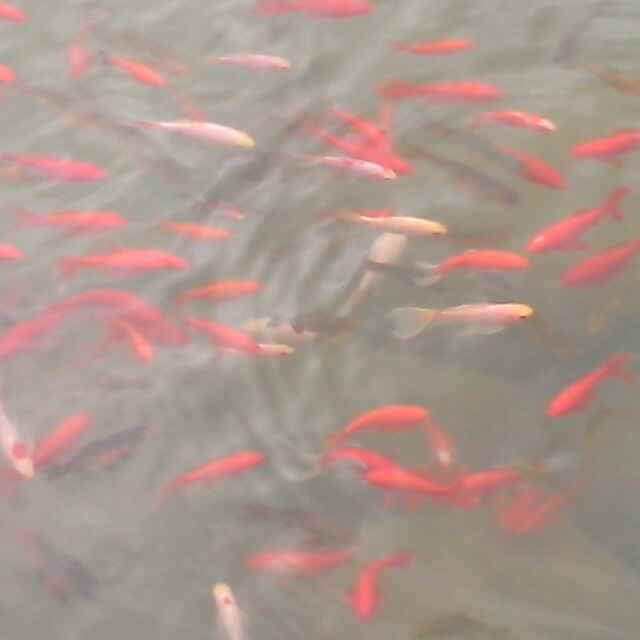 馨怡装饰（小李13568384507）