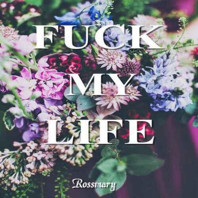 Never   Never   say  No