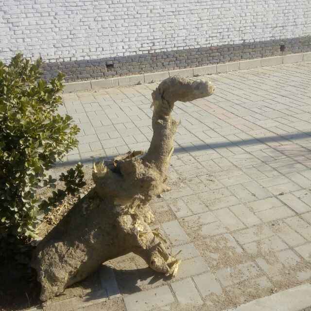 为自己喝彩