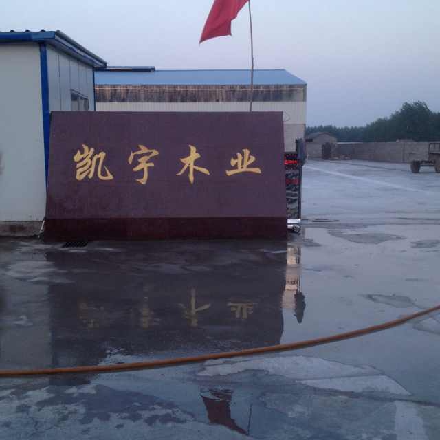 双龙人