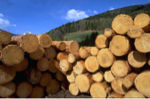 加拿大木材