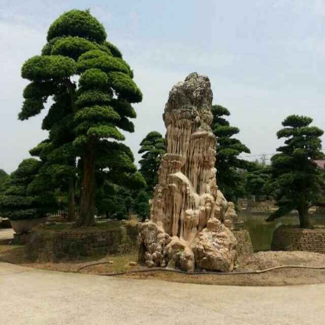 树木