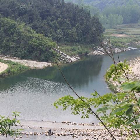 张建