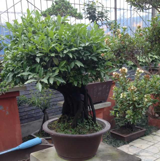 有你才幸福
