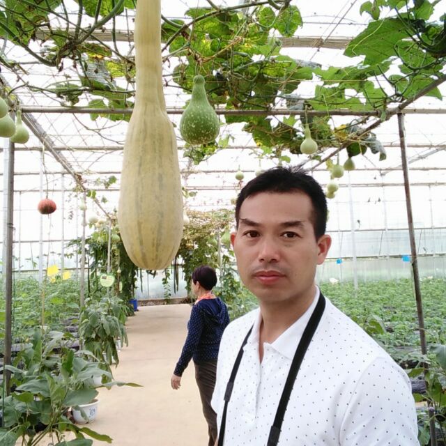 杨巨龙