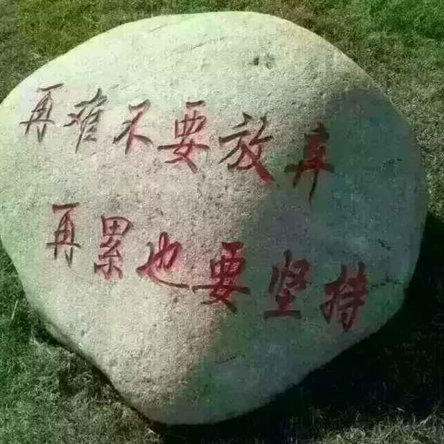 俊强