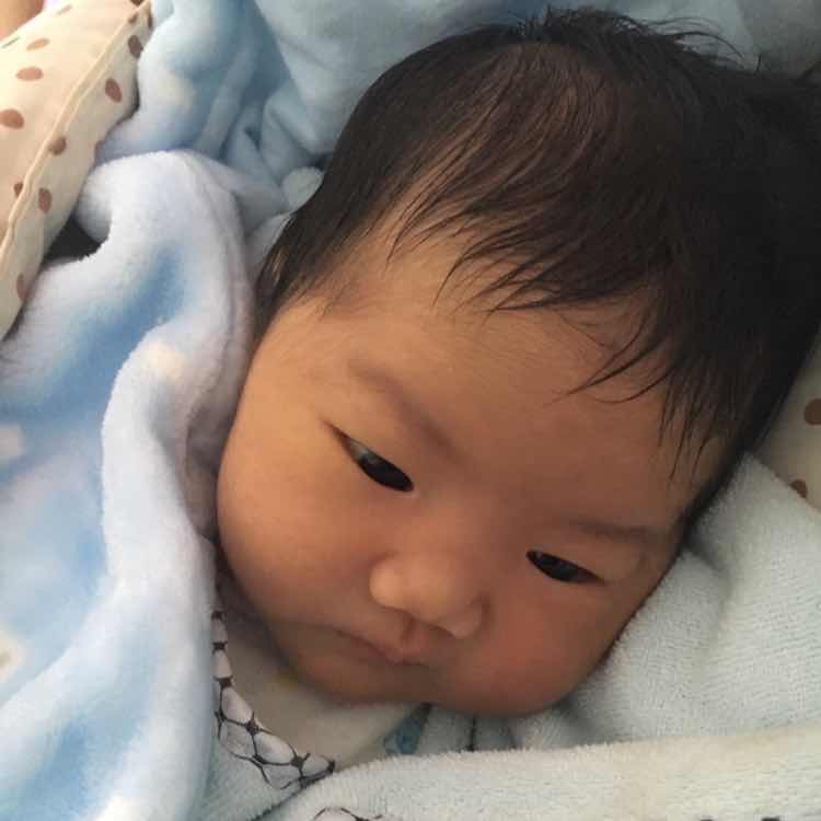刘嘉成