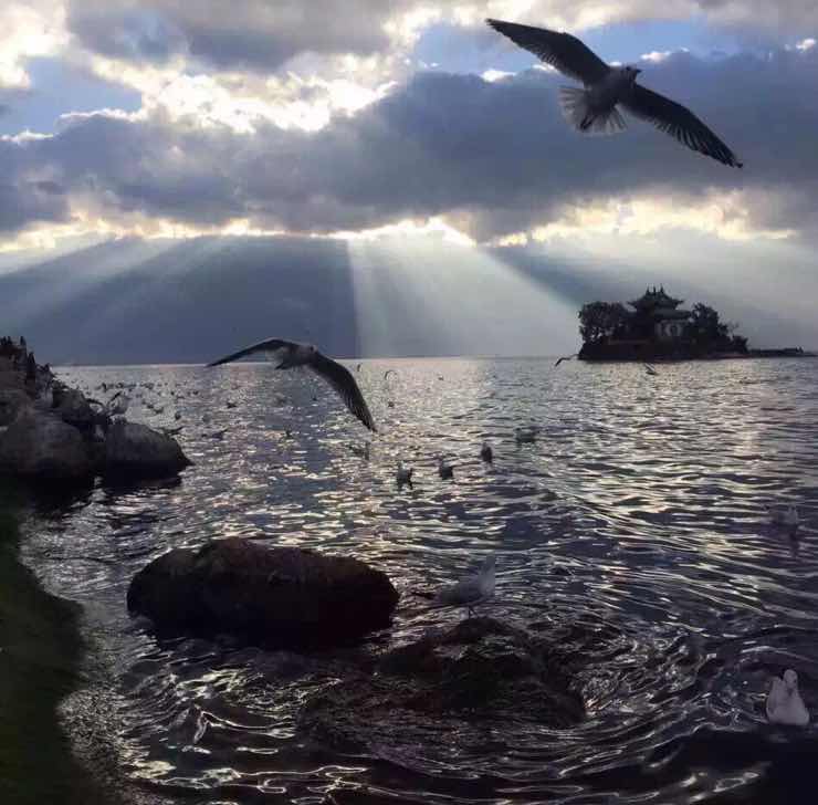 沉淀