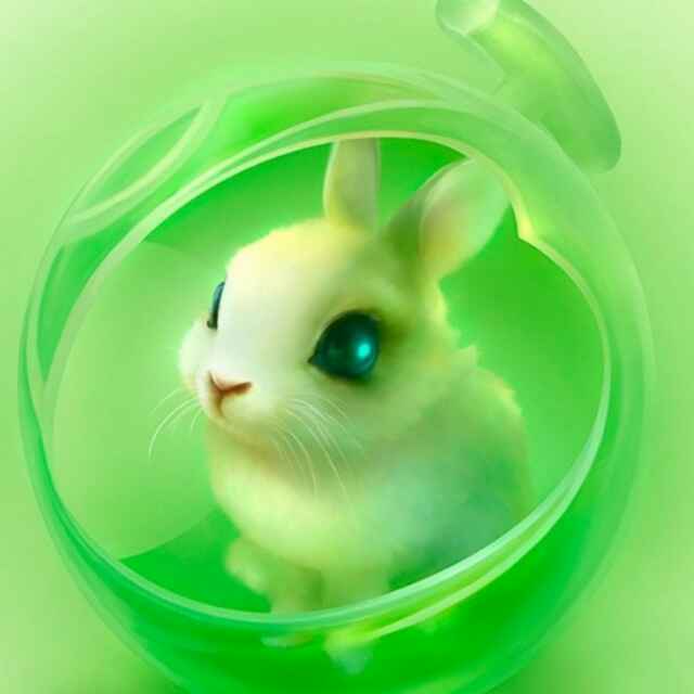 A唐晨