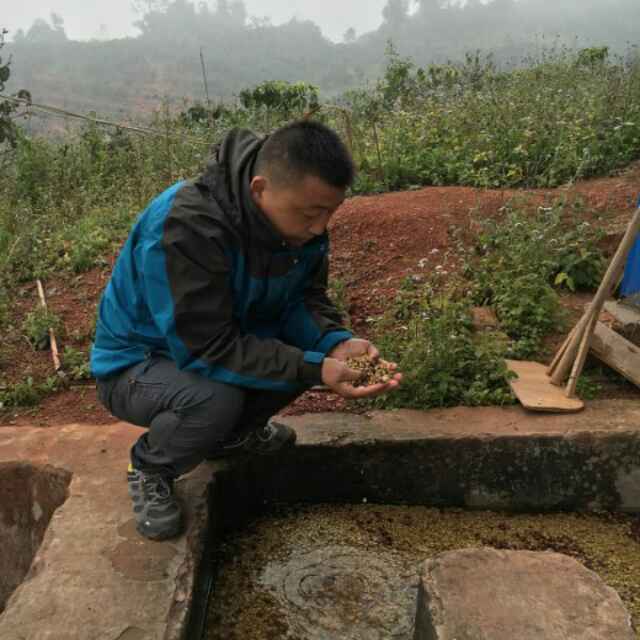 冰蓝