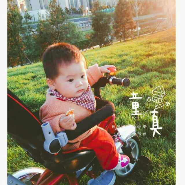 强力木业