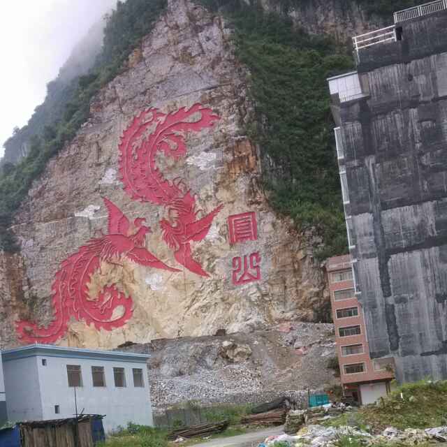 钟情于落叶