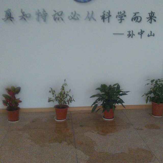 乐子