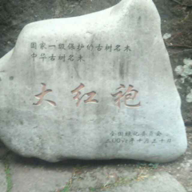乱云飞渡