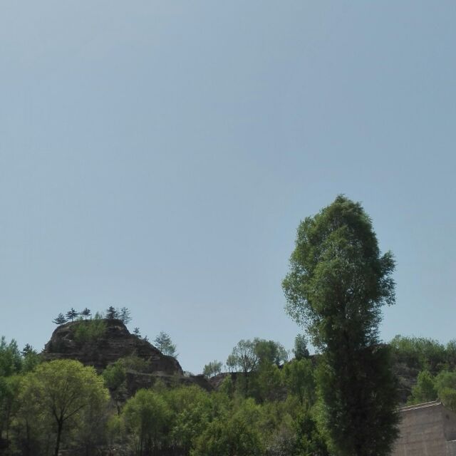 马悠悠