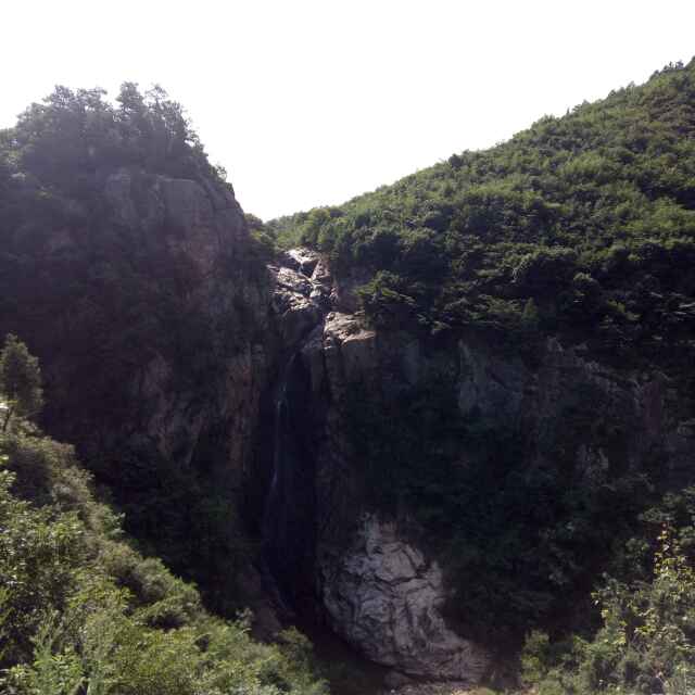 刘忠