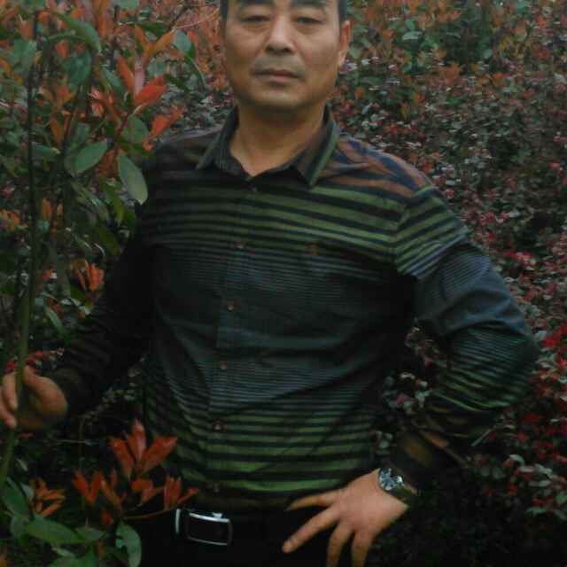 华兴木业加工厂
