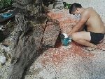 世间艺人