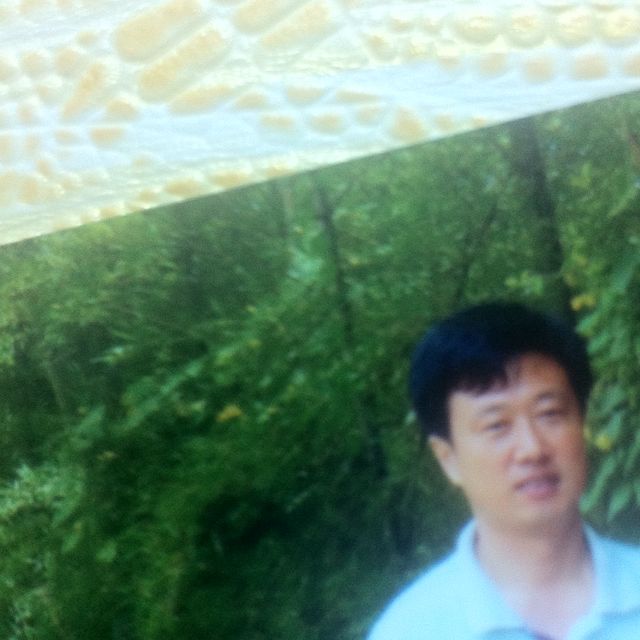 鄂林木业