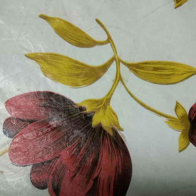 楚泽乐