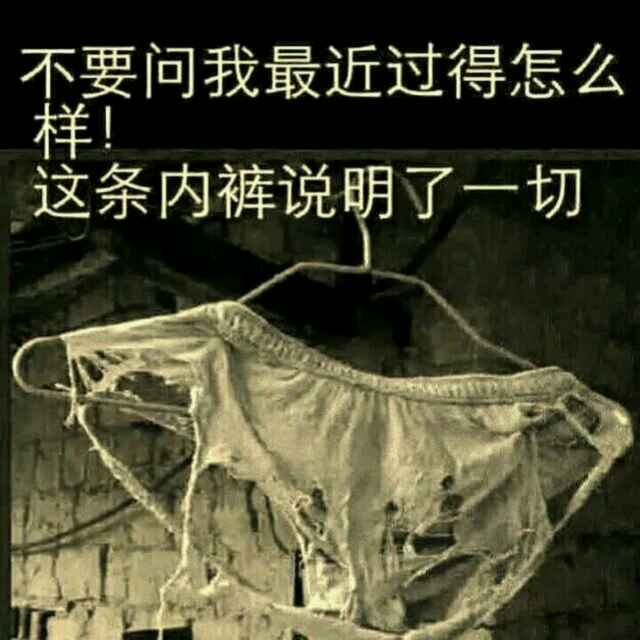 小杨