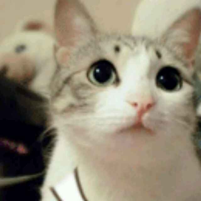 阿洁