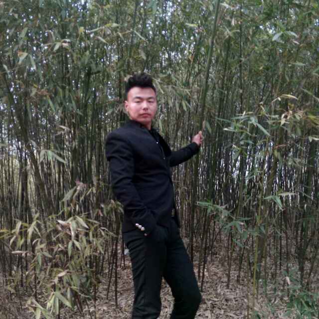 刘鹏